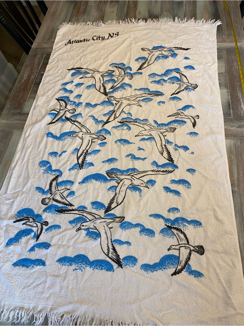 souvenir fringe beach towel Atlantic City NJ Vintage Seagulls Birds Beach